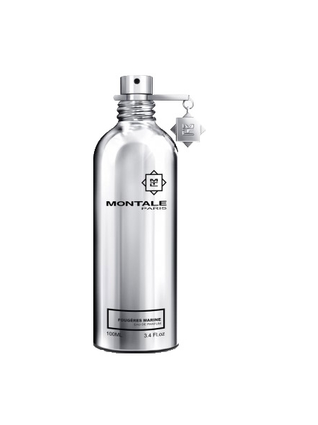 Montale Paris FOUGERES MARINES 100 ML EDP