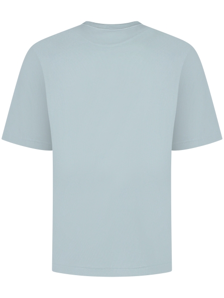 Brams fruit OUTLINE T-SHIRT 785 LIGHT BLUE