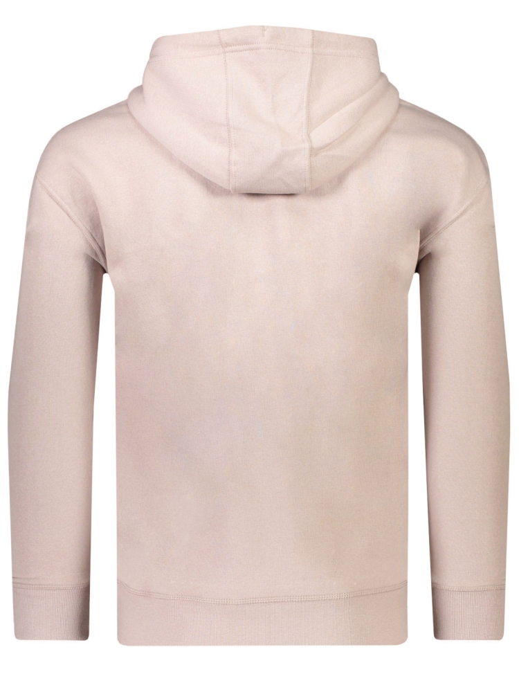 Tommy Hilfiger DM0DM15013 HOODIE RAZ BR. STONE