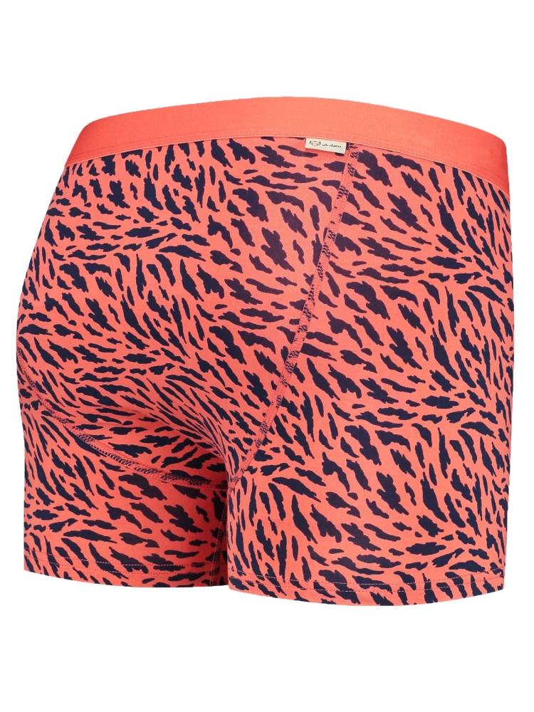 A-dam BOXER-BRIEFS ANIMALY